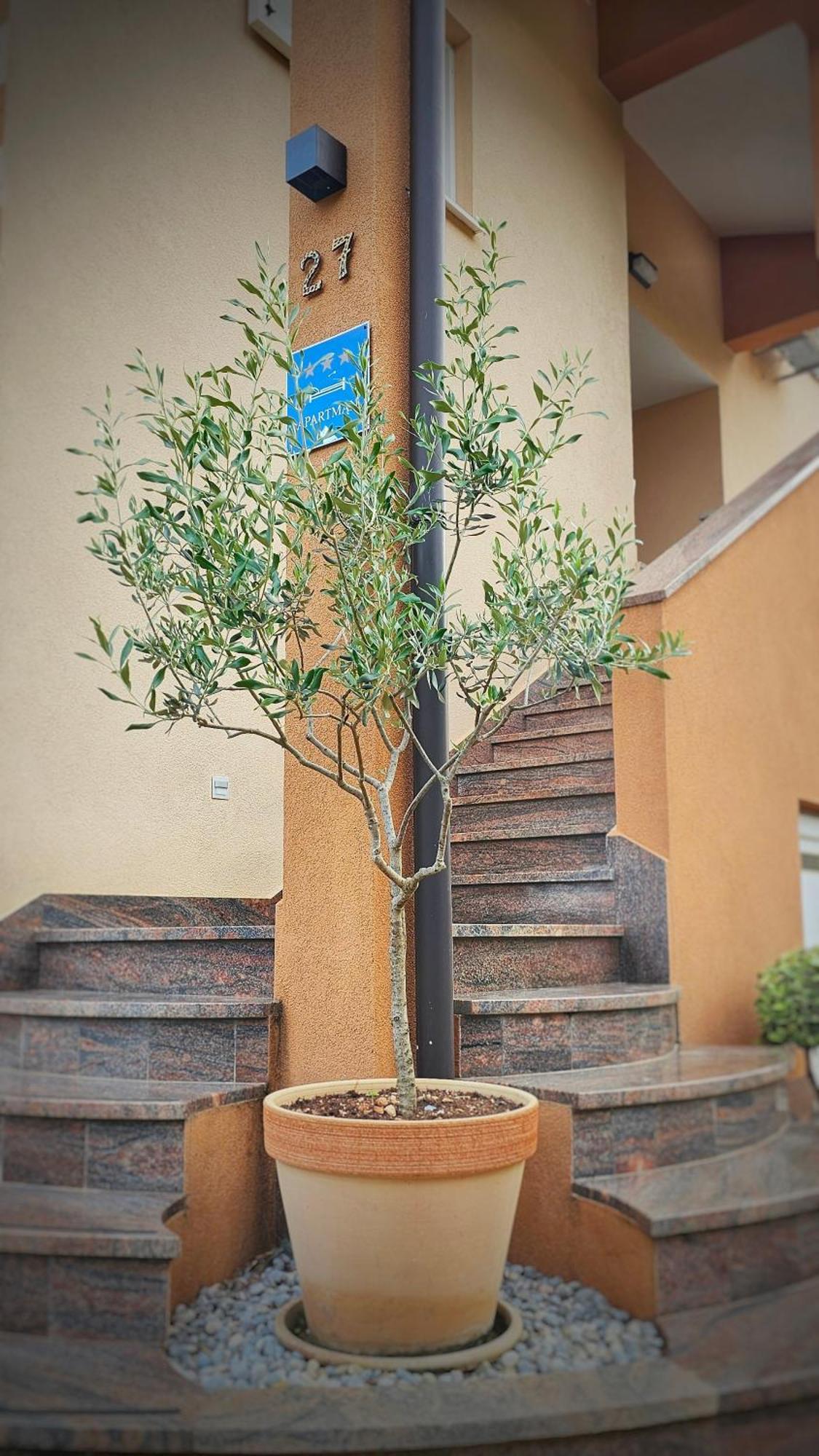 Premium Apartments Tade Funtana Exterior foto